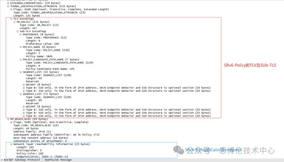 1729748024607786.png 23.png